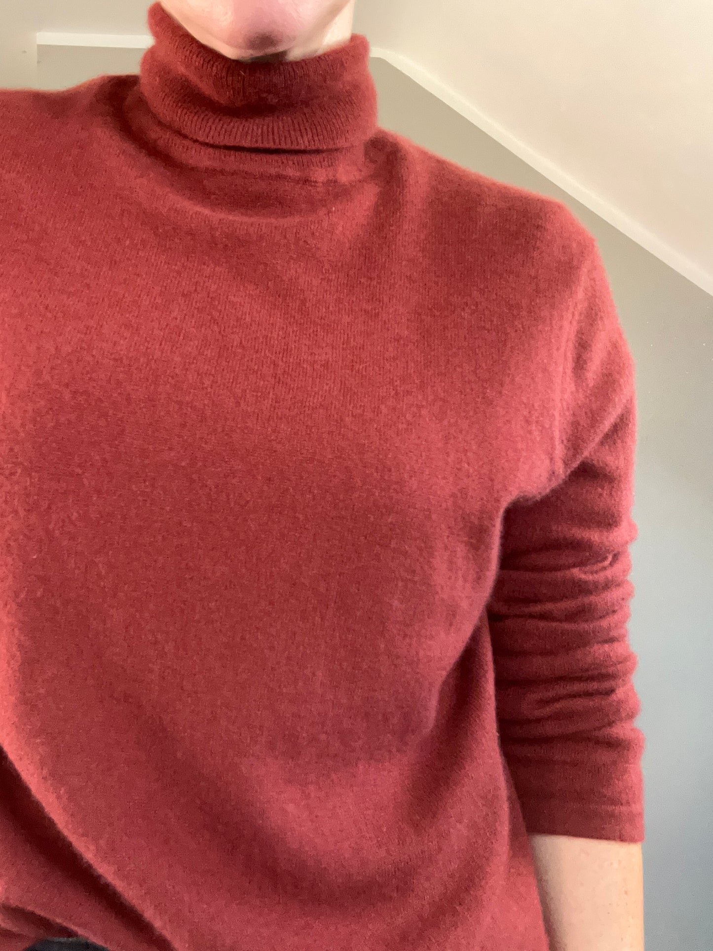 Cashmere Marks rust roll neck jumper 3XL - up to 18